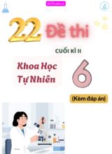 Tổng hợp 22 Đề thi Tự luận KHTN 6 cuối Kì 2 (Kèm đáp án)